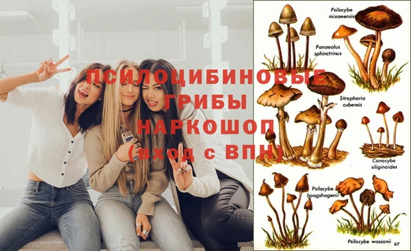 mdpv Верхний Тагил
