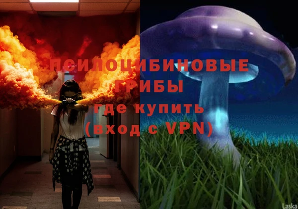mdpv Верхний Тагил