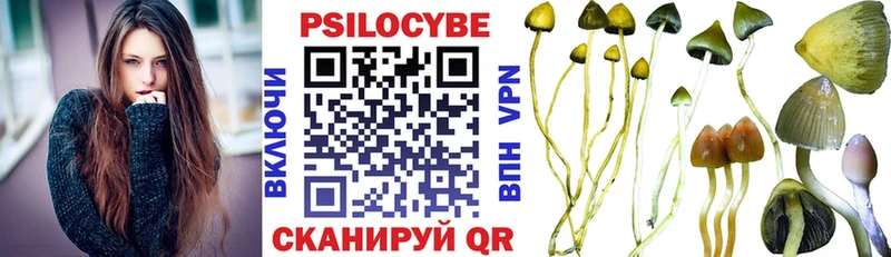 как найти гидра ссылка Псилоцибиновые грибы прущие грибы Ростов-на-Дону